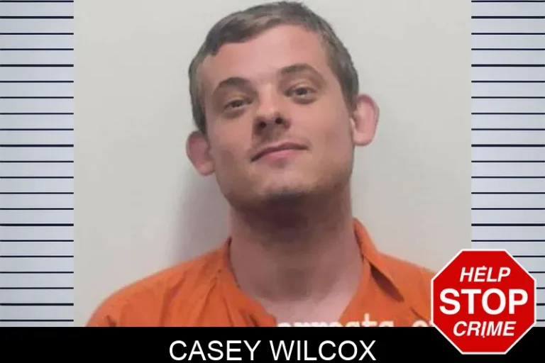 Casey Wilcox