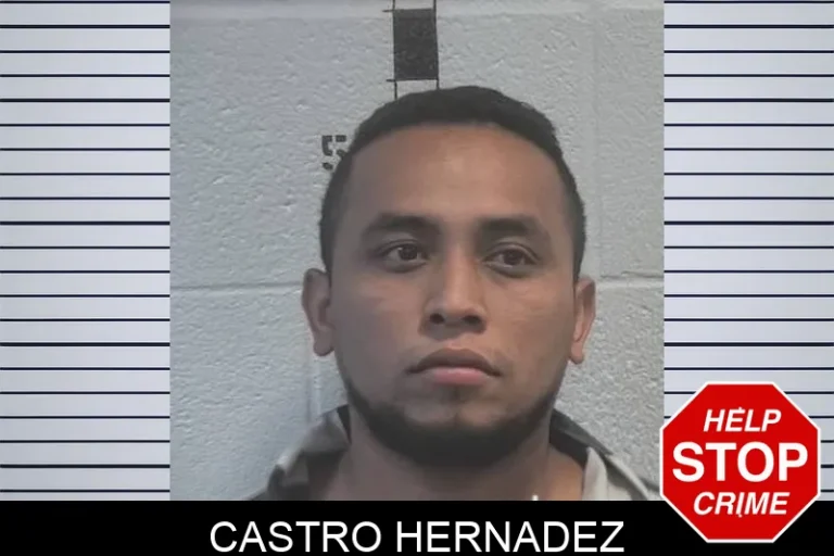 Castro Hernadez