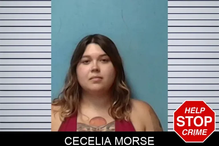 Cecelia Morse