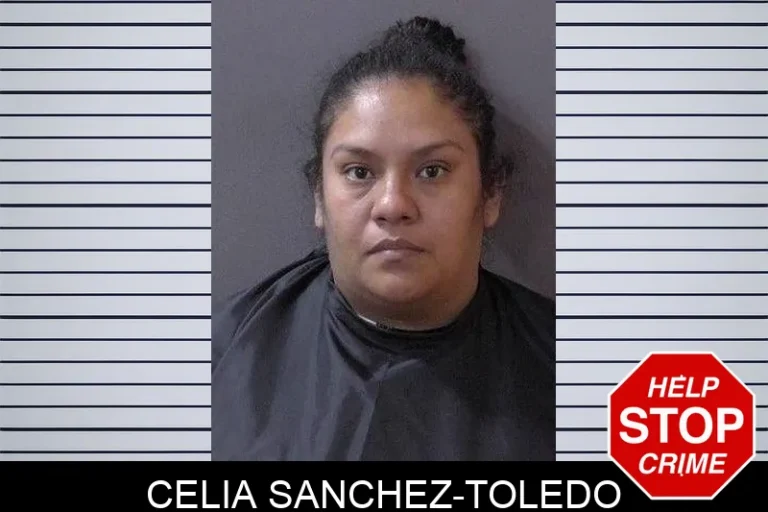 Celia Sanchez-Toledo