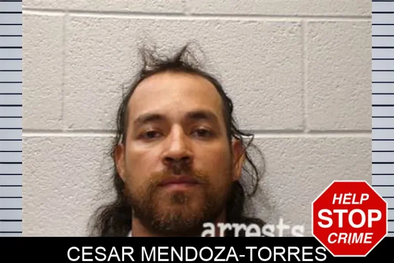 Cesar Mendoza-Torres