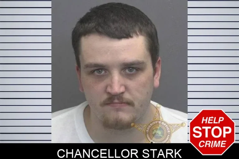 Chancellor Stark