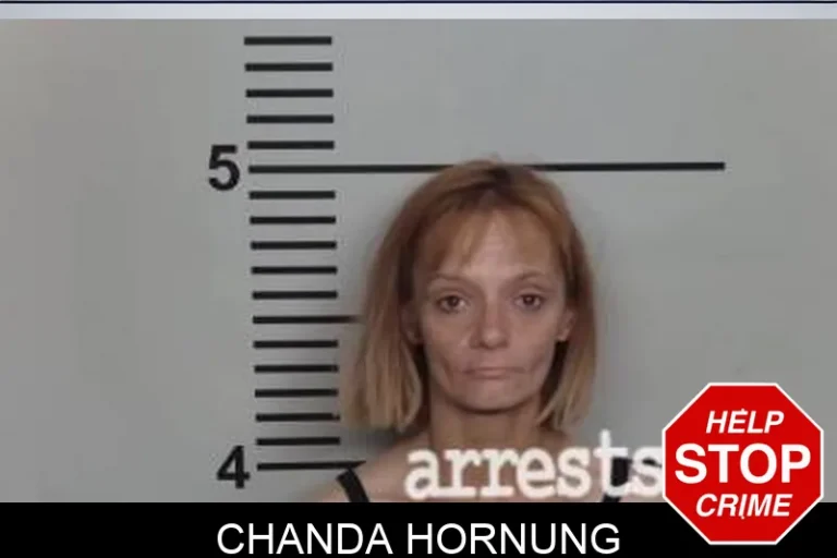 Chanda Hornung