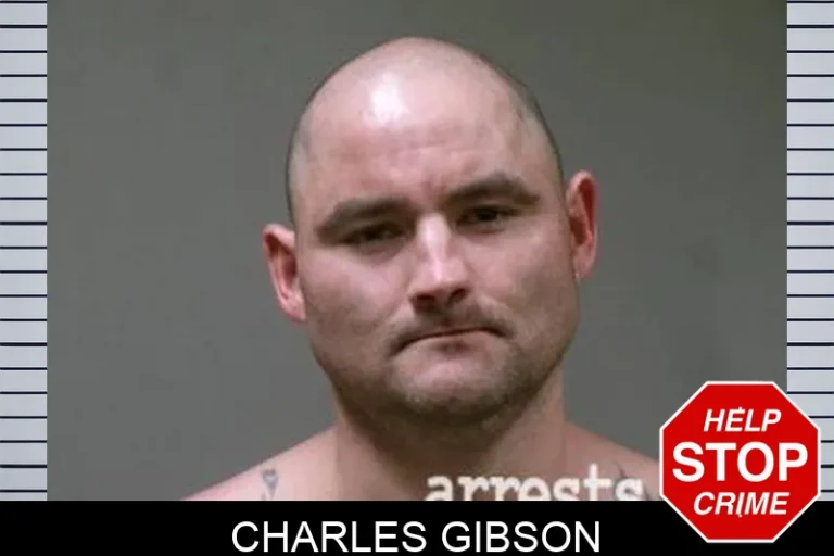 Charles Gibson