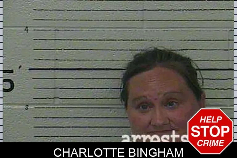 Charlotte Bingham