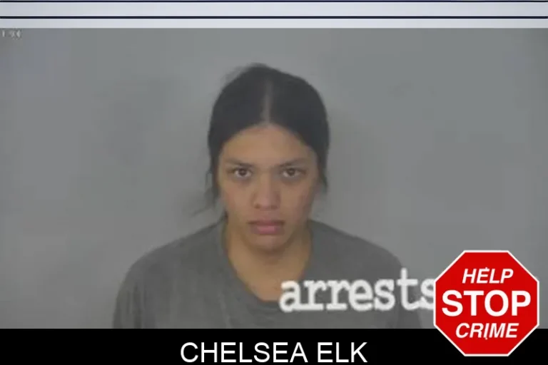Chelsea Elk