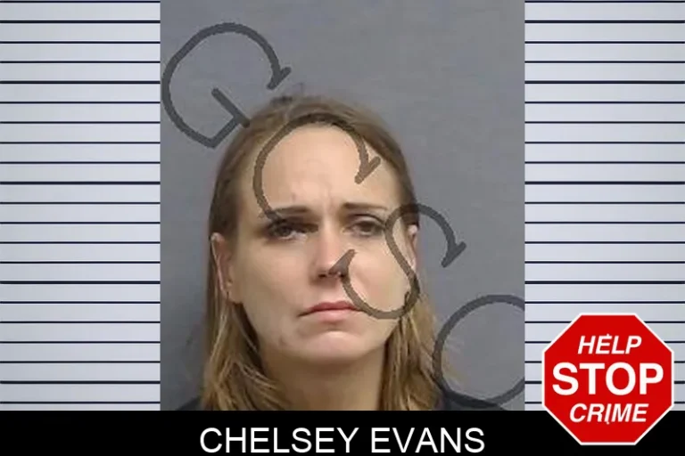 Chelsey Evans