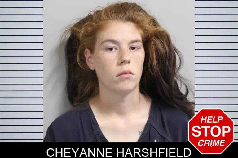 Cheyanne Harshfield