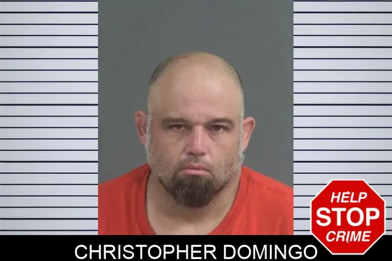 Christopher Domingo