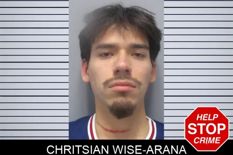 Chritsian Wise-Arana