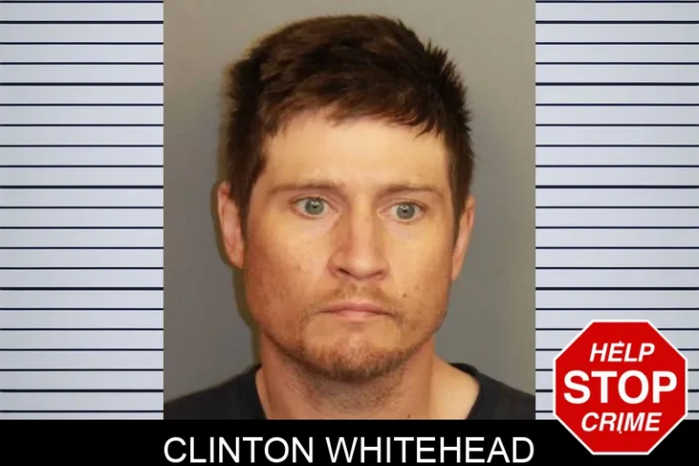 Clinton Whitehead