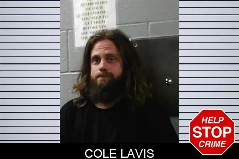 Cole Lavis