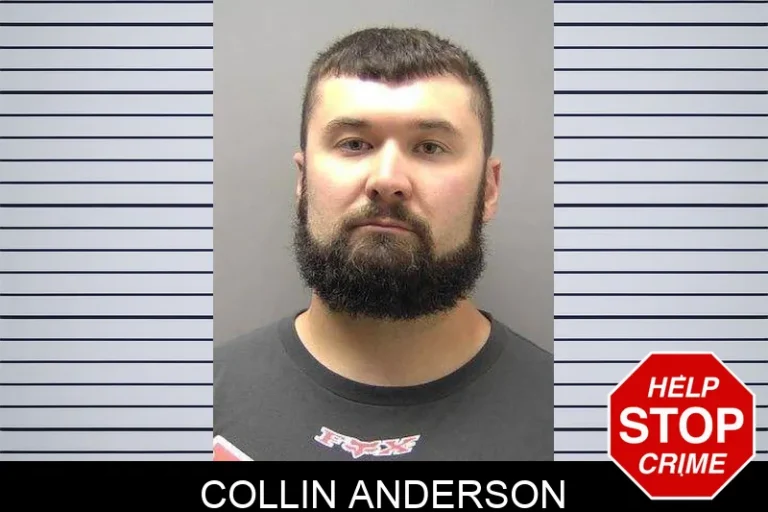 Collin Anderson