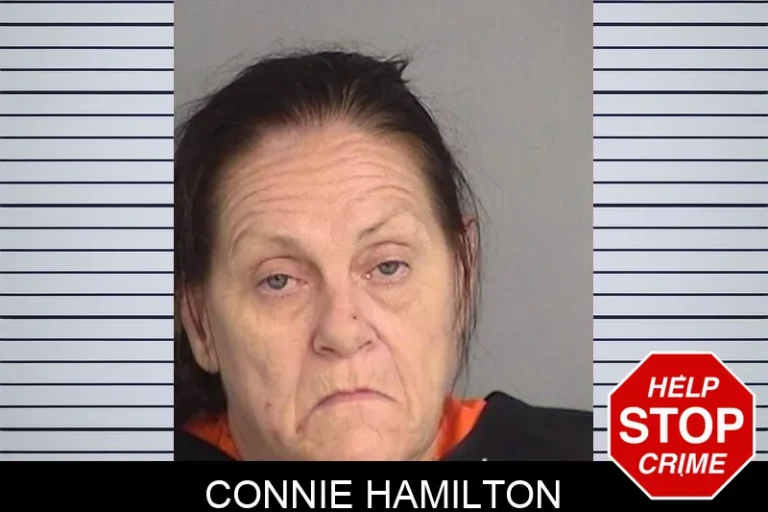 Connie Hamilton