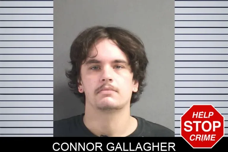 Connor Gallagher