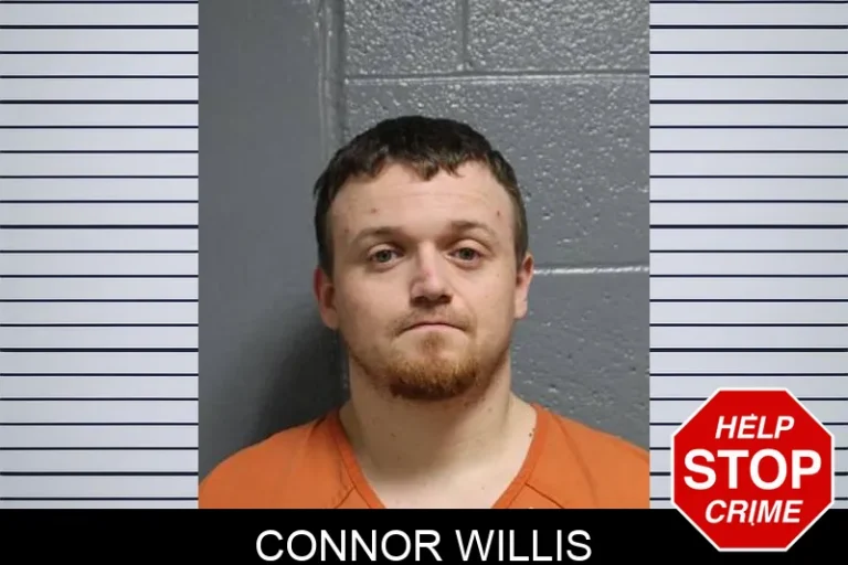 Connor Willis
