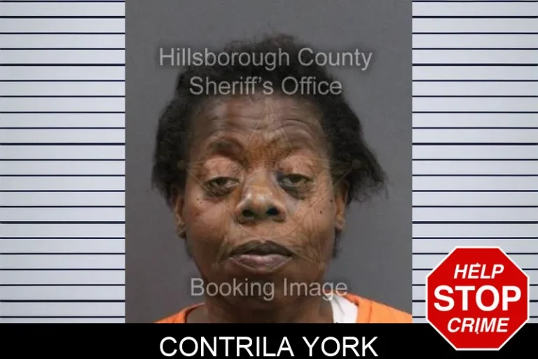 Contrila York