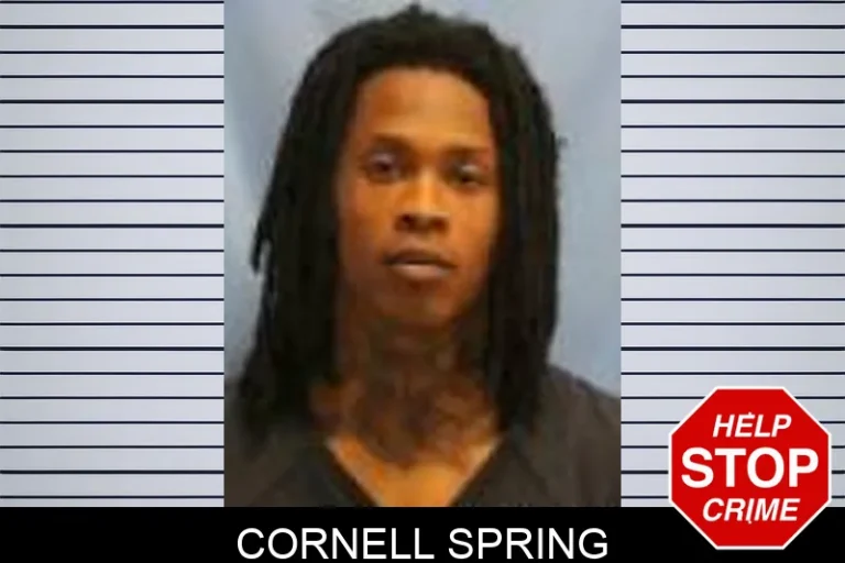 Cornell Spring