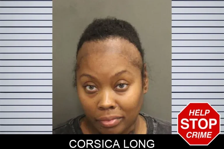 Corsica Long
