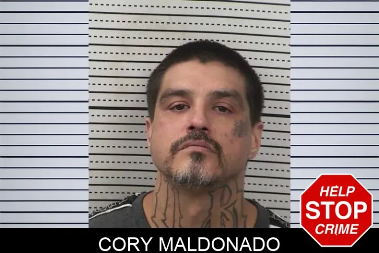 Cory Maldonado
