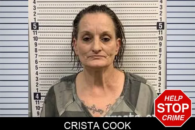 Crista Cook