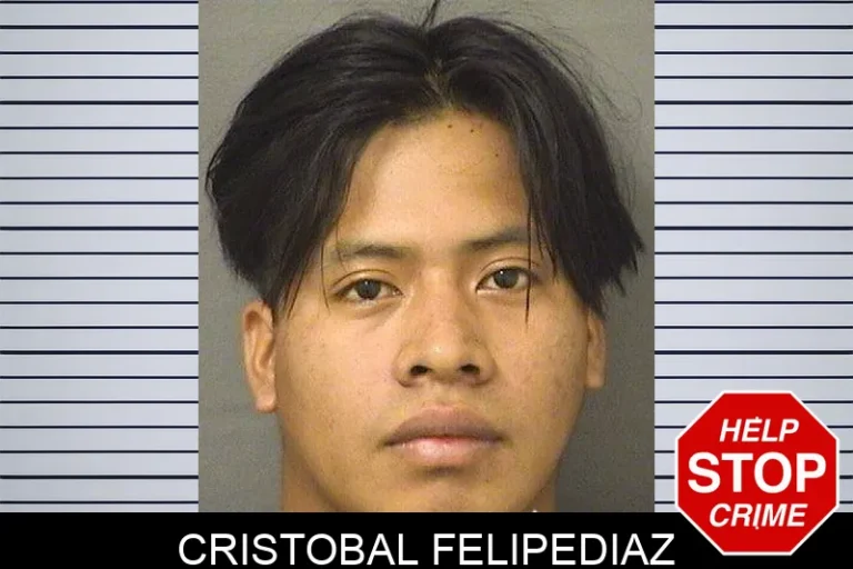 Cristobal Felipediaz