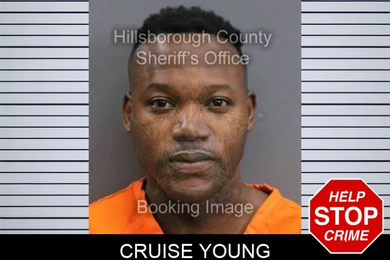Cruise Young