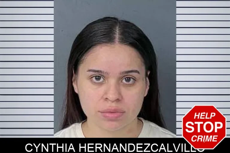Cynthia HernandezCalvillo