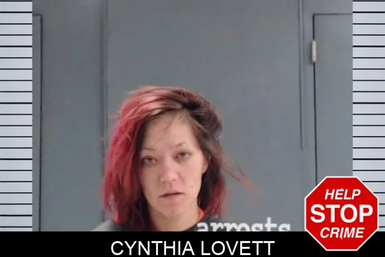 Cynthia Lovett