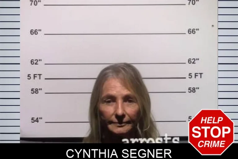 Cynthia Segner