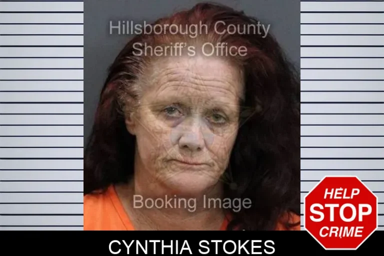 Cynthia Stokes