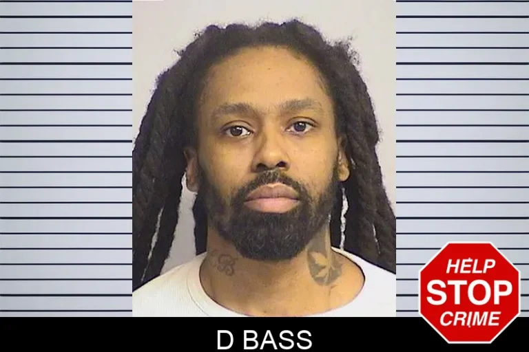 D Bass