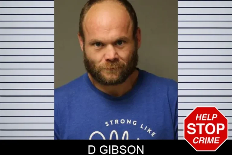 D Gibson