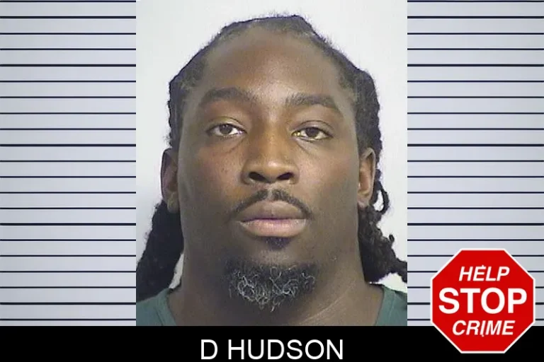 D Hudson