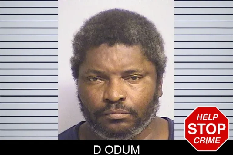 D Odum