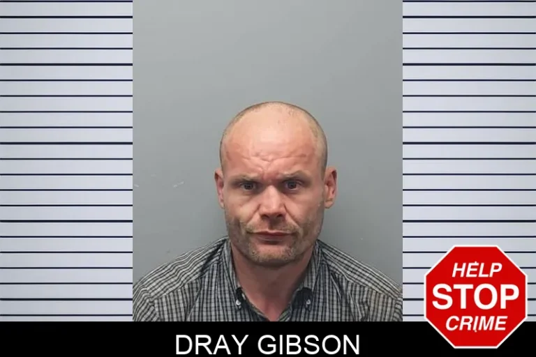 DRay Gibson