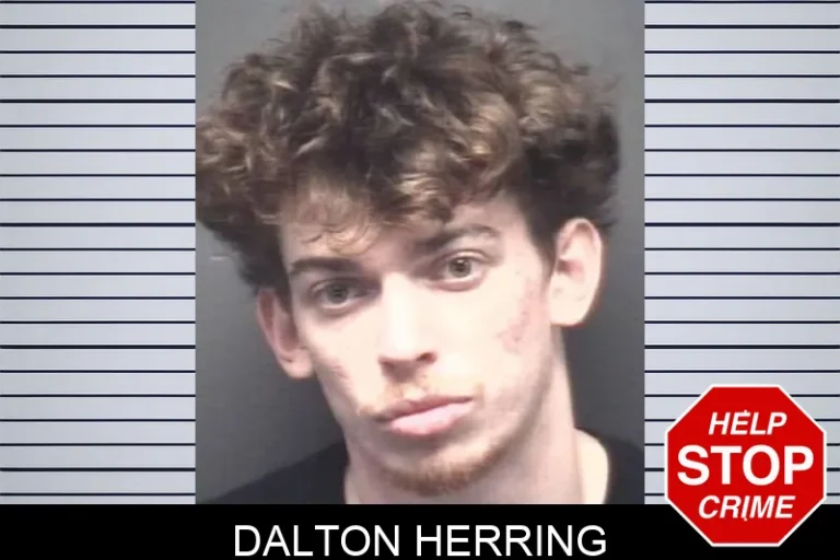 Dalton Herring