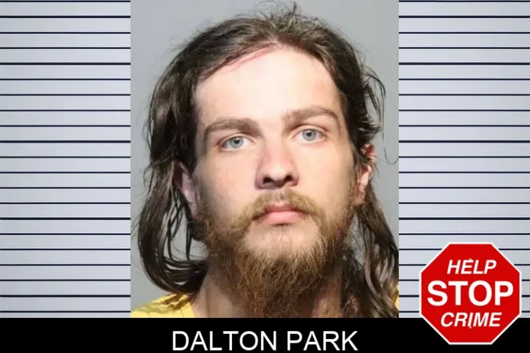 Dalton Park