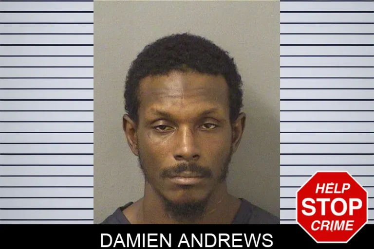Damien Andrews