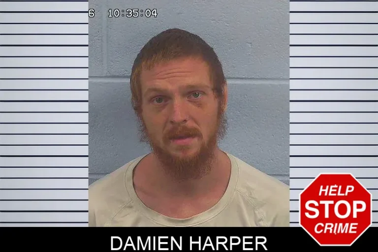 Damien Harper