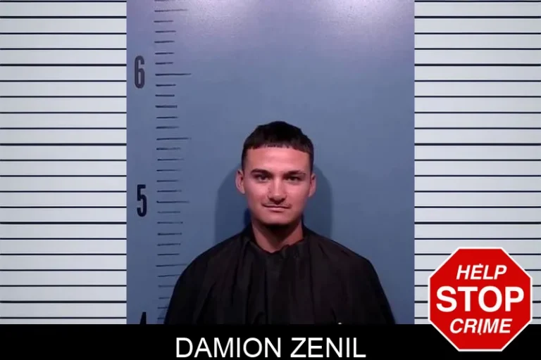 Damion Zenil