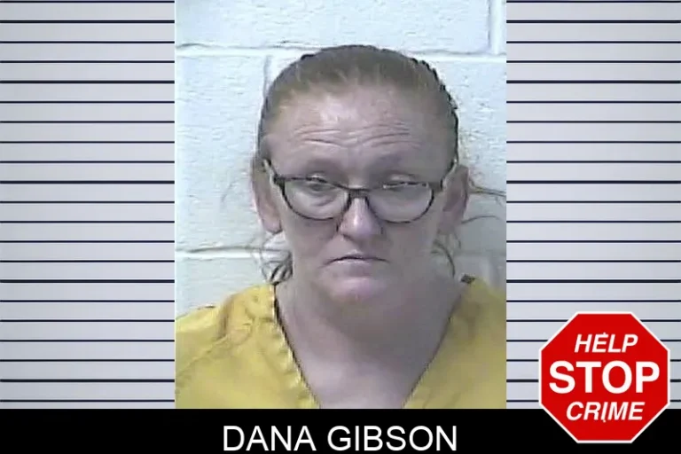Dana Gibson