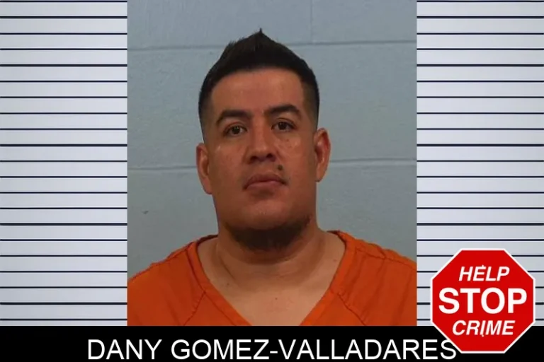 Dany Gomez-Valladares