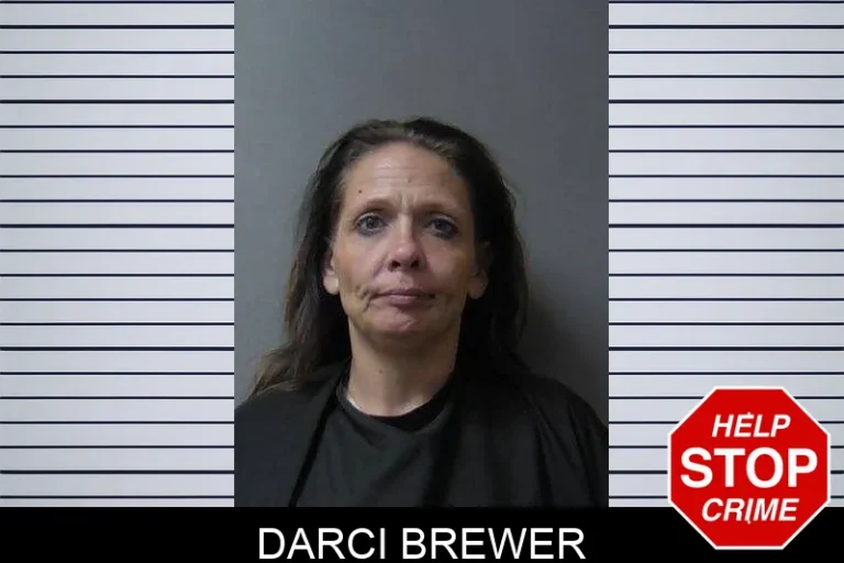 Darci Brewer