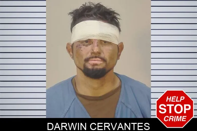 Darwin Cervantes