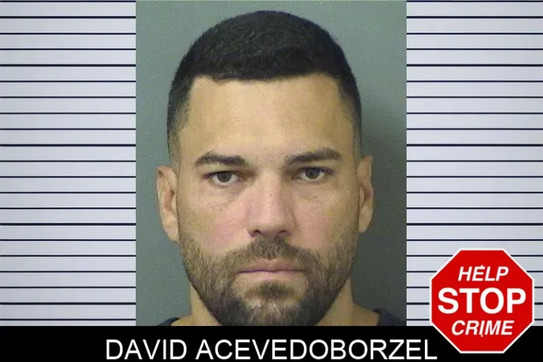 David Acevedoborzel
