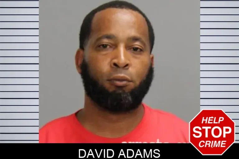 David Adams