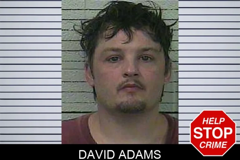David Adams