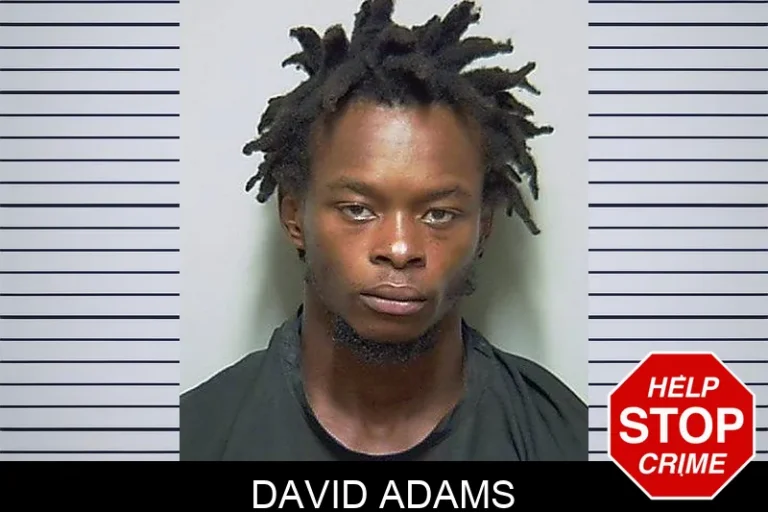 David Adams