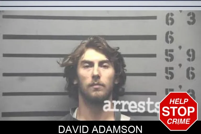 David Adamson